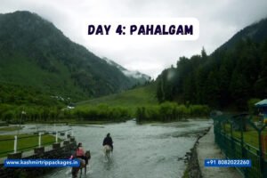 cost of kashmir tour package