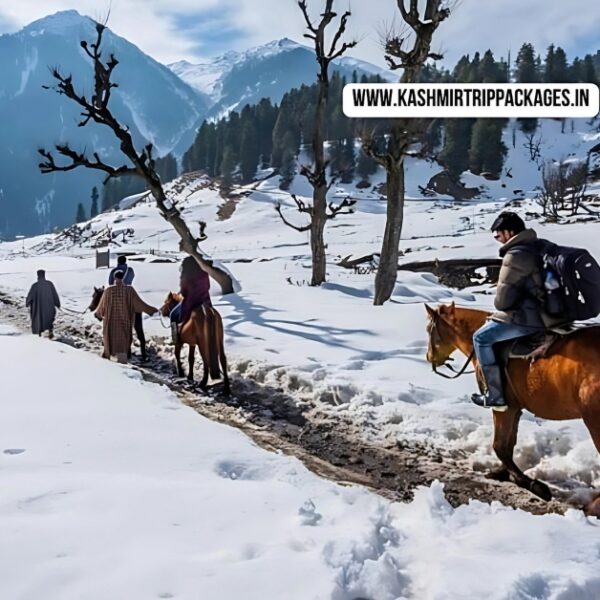 Kashmir Honeymoon Package