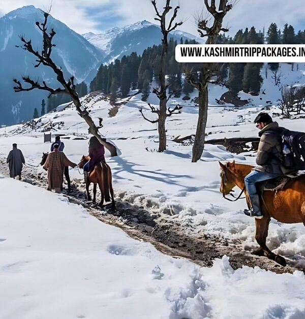 Kashmir Honeymoon Package