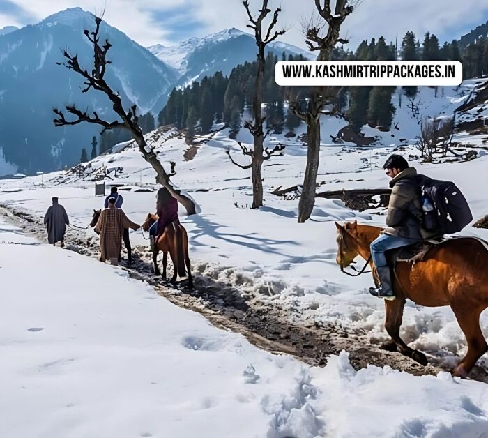 Kashmir Honeymoon Package