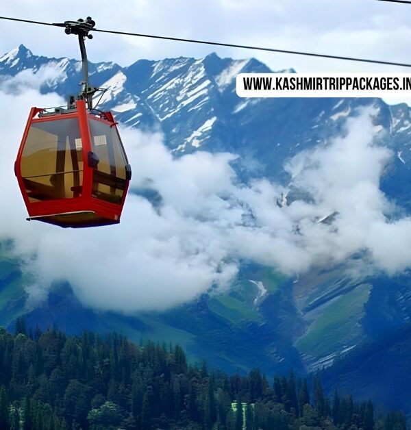 kashmir Honeymoon Package