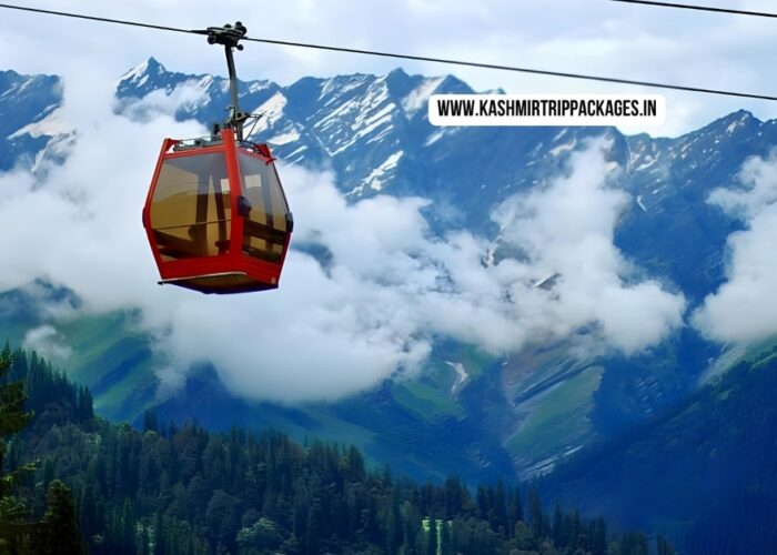 kashmir Honeymoon Package