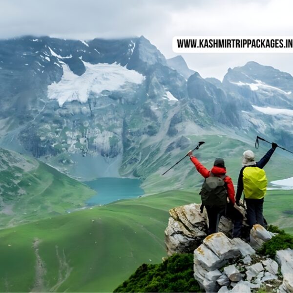 jammu kashmir honeymoon package