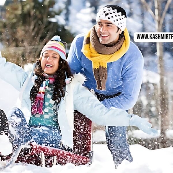 jammu kashmir honeymoon package