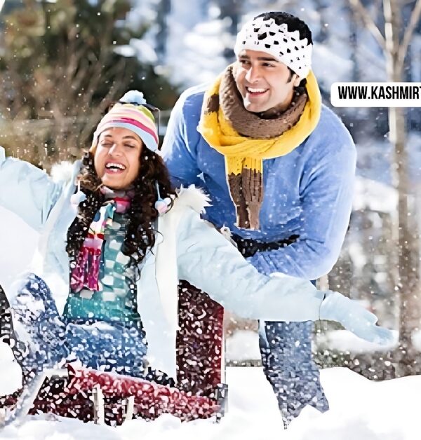 jammu kashmir honeymoon package