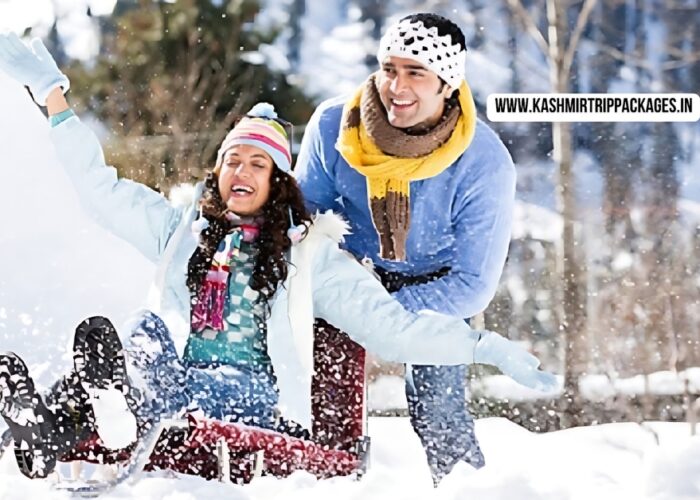 jammu kashmir honeymoon package