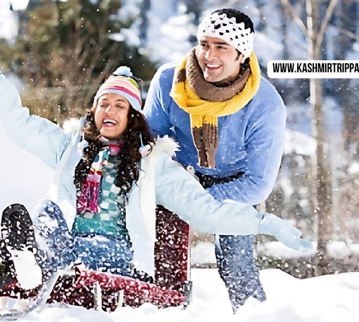 jammu kashmir honeymoon package