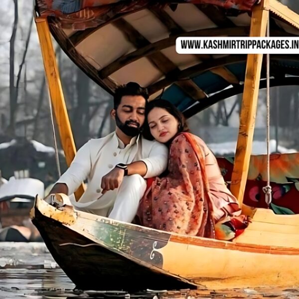 jammu kashmir honeymoon package