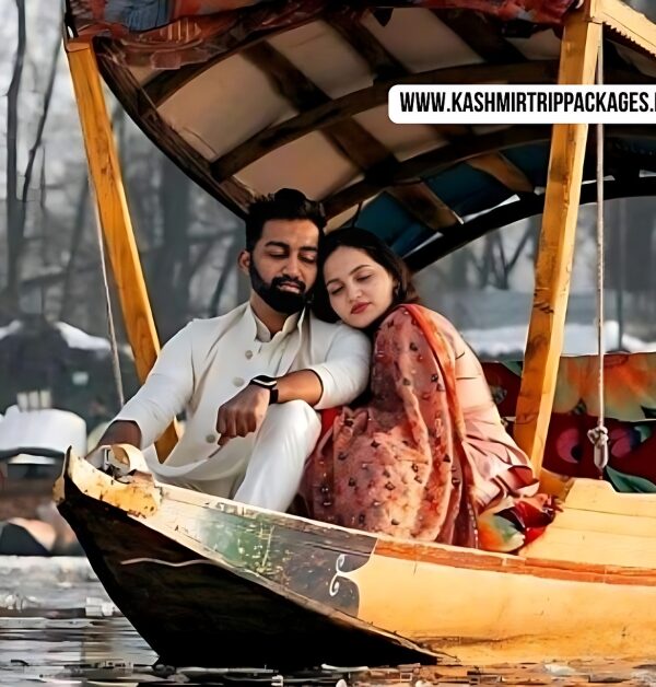 jammu kashmir honeymoon package