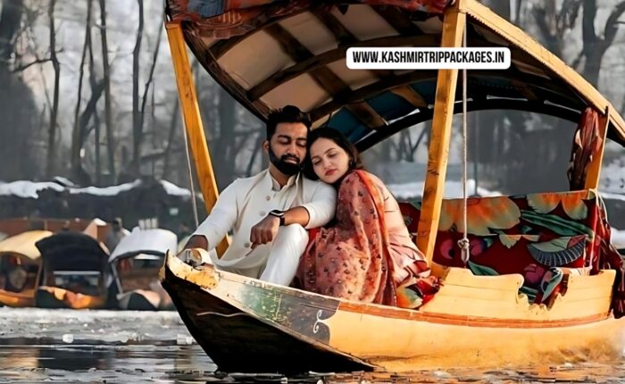 jammu kashmir honeymoon package