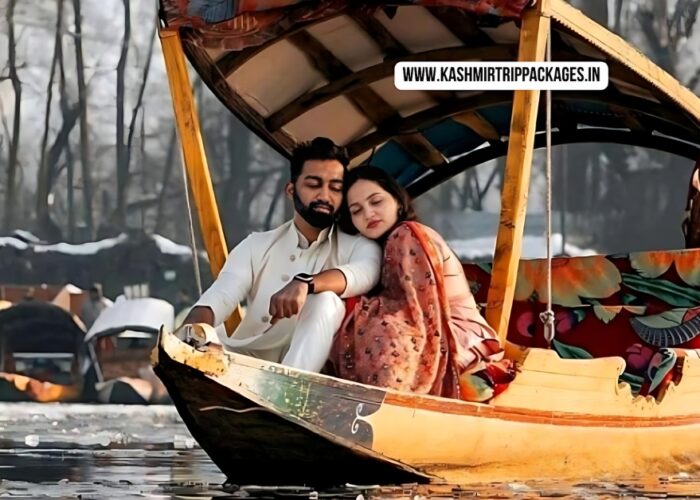 jammu kashmir honeymoon package