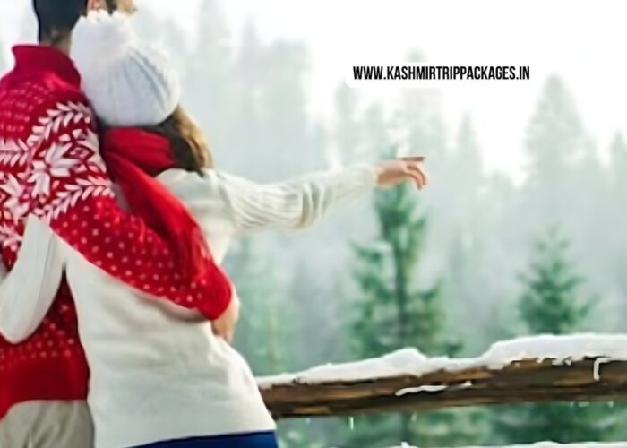 Kashmir Honeymoon Package