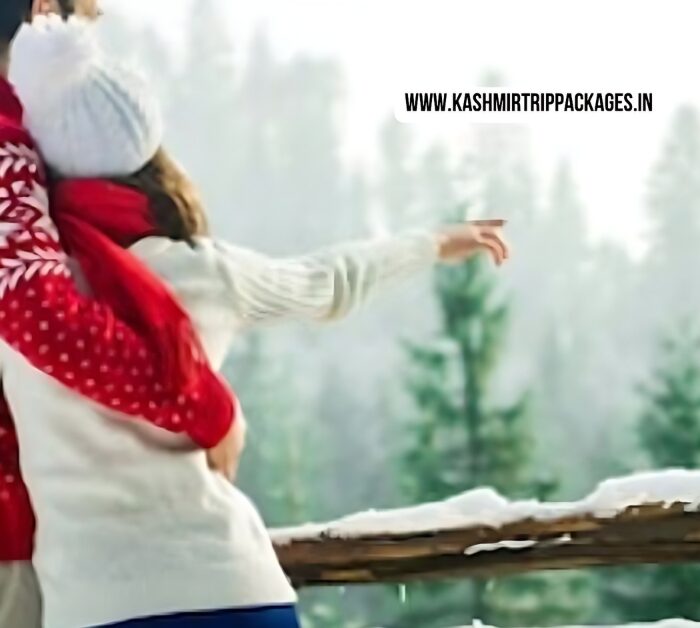 Kashmir Honeymoon Package