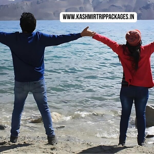 jammu kashmir honeymoon package