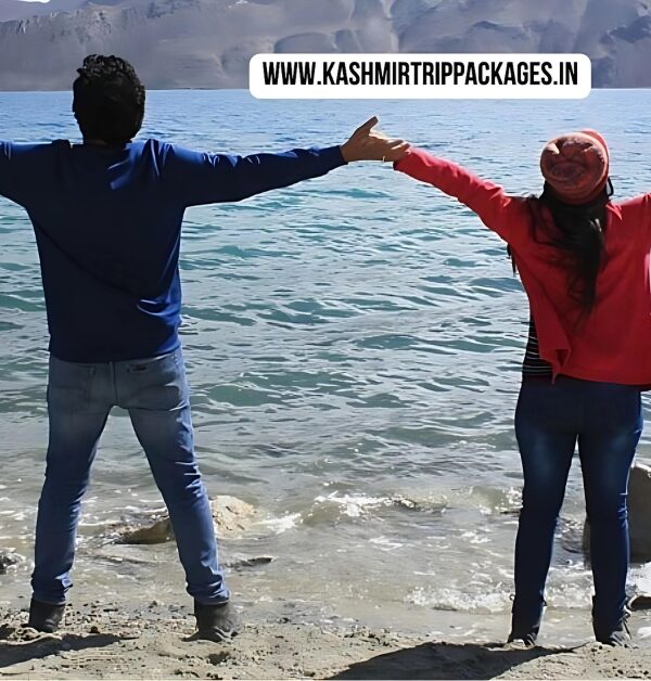 jammu kashmir honeymoon package