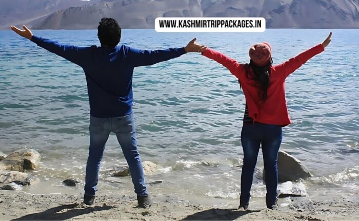 jammu kashmir honeymoon package