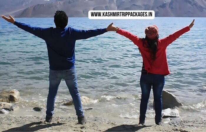 Heavenly Kashmir Honeymoon Package 