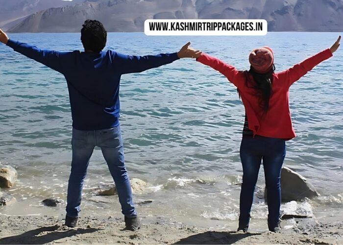 jammu kashmir honeymoon package