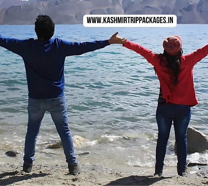 jammu kashmir honeymoon package