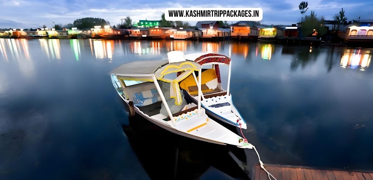 Scenic Kashmir- Honeymoon Special