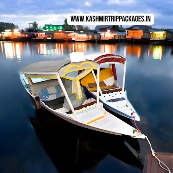 Kashmir honeymoon package