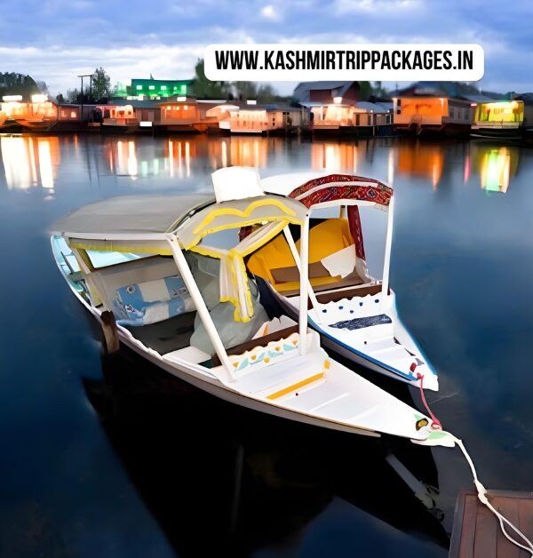 Kashmir honeymoon package