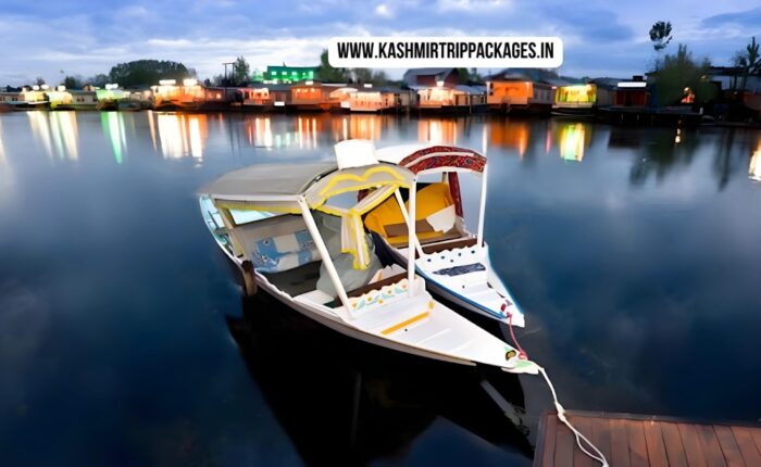 Kashmir honeymoon package