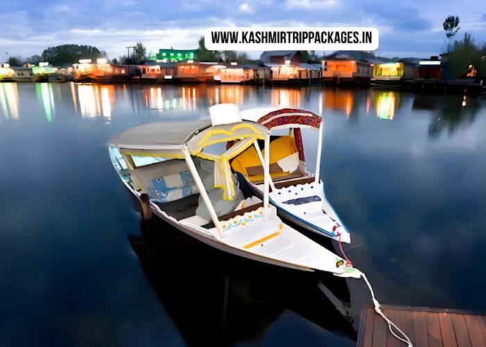 Kashmir honeymoon package