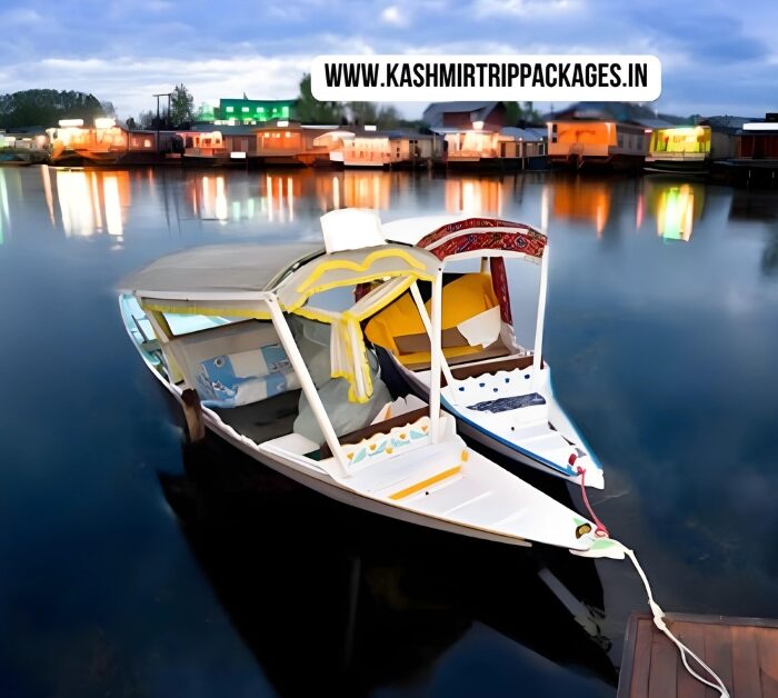 Kashmir honeymoon package