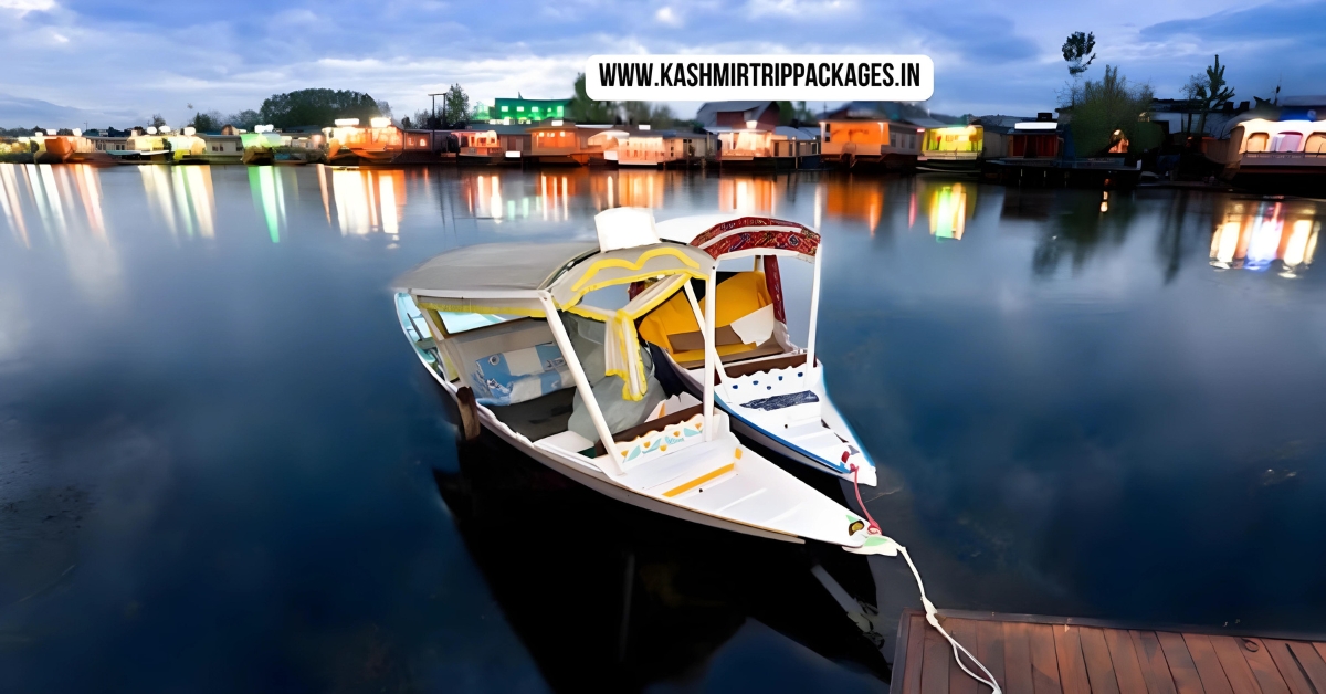 Kashmir honeymoon package