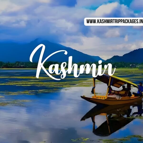 kashmir package for couple