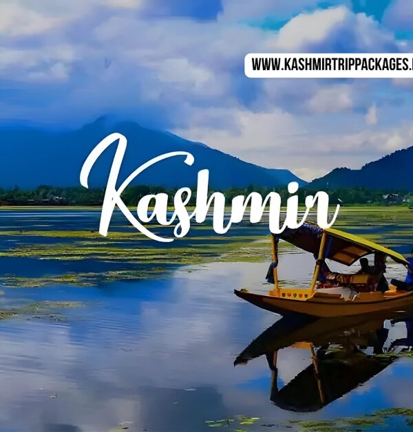 kashmir package for couple