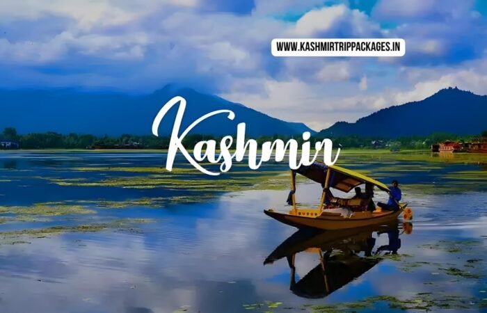 travel packages for jammu and kashmir