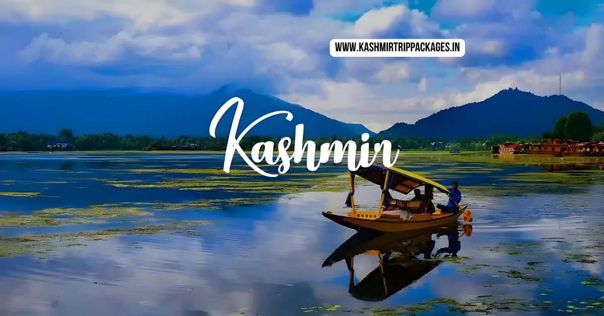 travel packages for jammu and kashmir