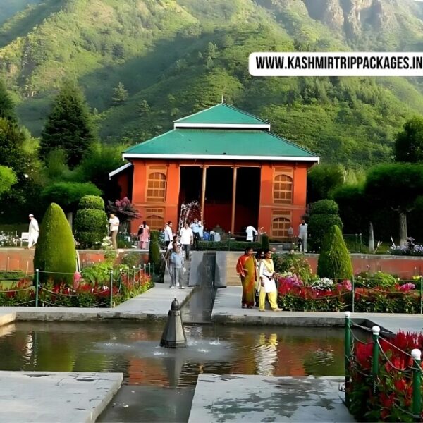 kashmir package for couple