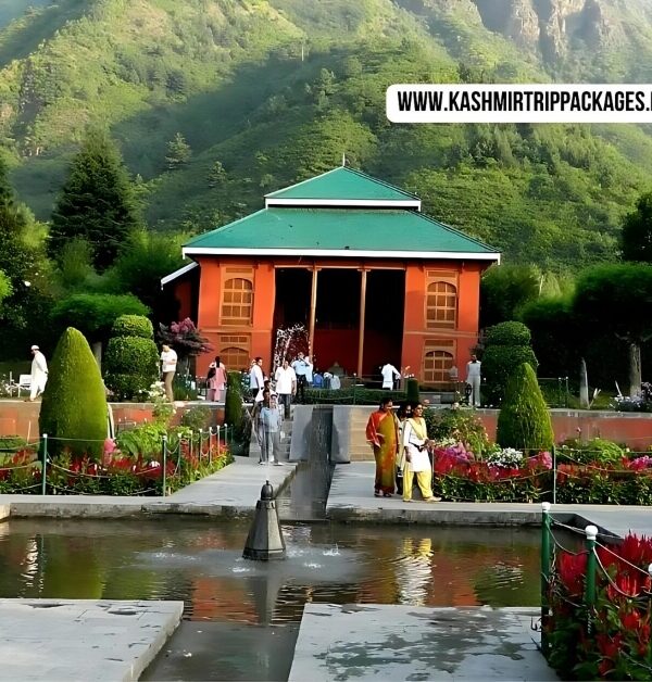 kashmir package for couple