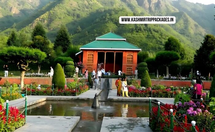 kashmir package for couple