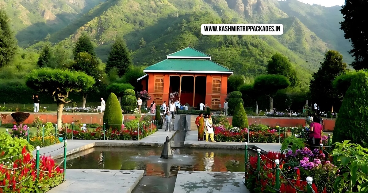 kashmir package for couple