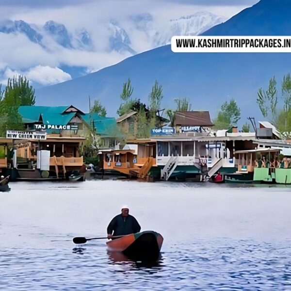 Kashmir Family Tour Package