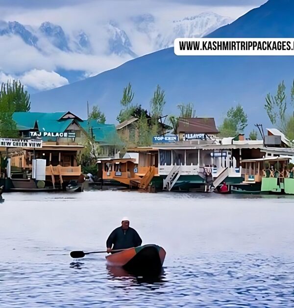 Kashmir Family Tour Package