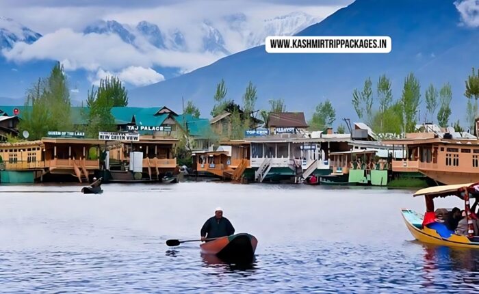 Kashmir Family Tour Package