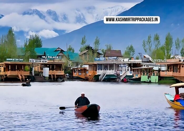 Kashmir Family Tour Package