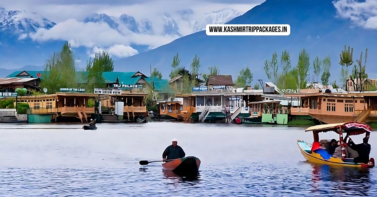 Kashmir Family Tour Package