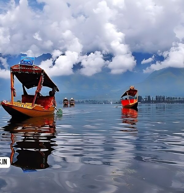 cheapest tour packages for kashmir