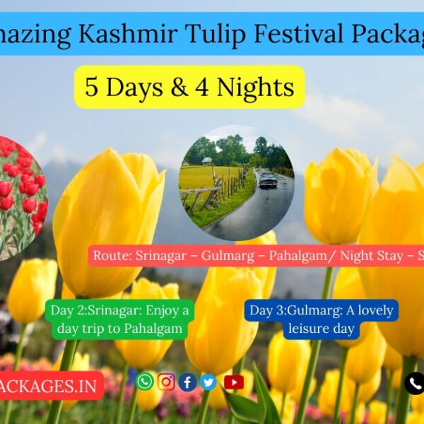 kashmir tour packages with price