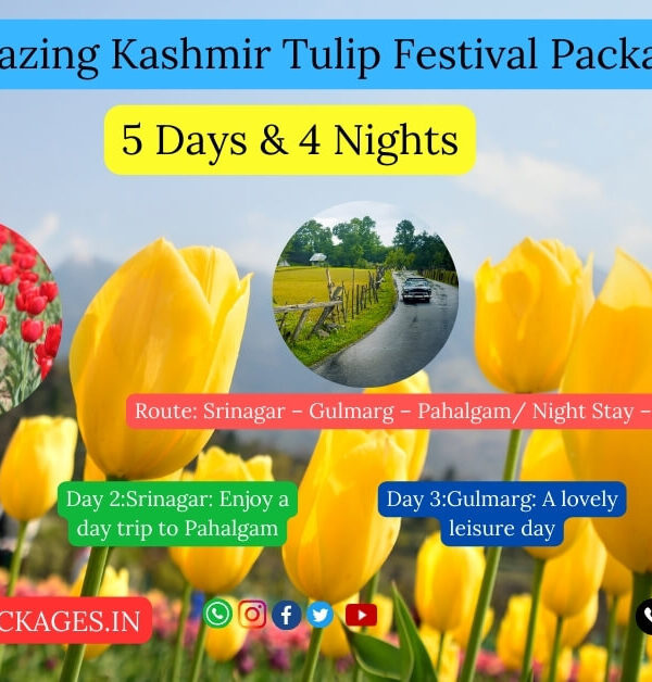 kashmir tour packages with price