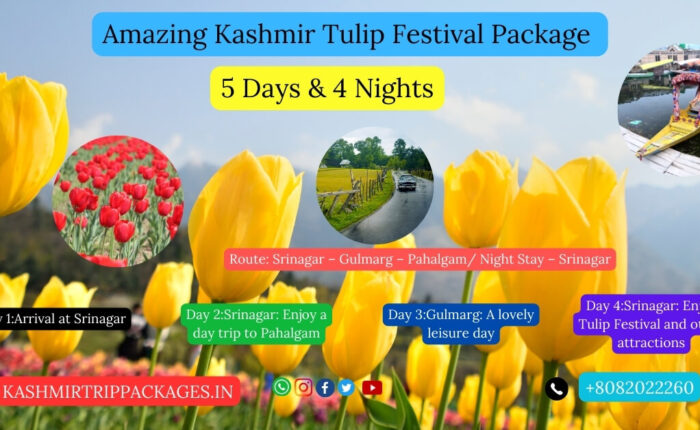 kashmir tour packages with price