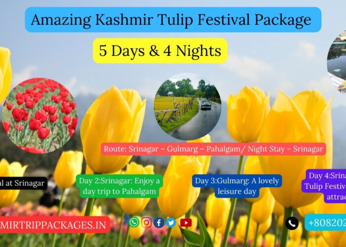 kashmir tour packages with price