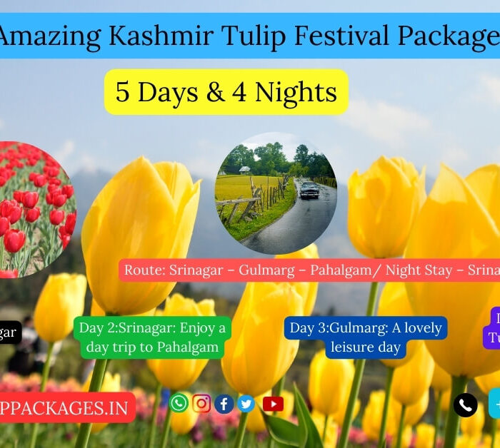 kashmir tour packages with price