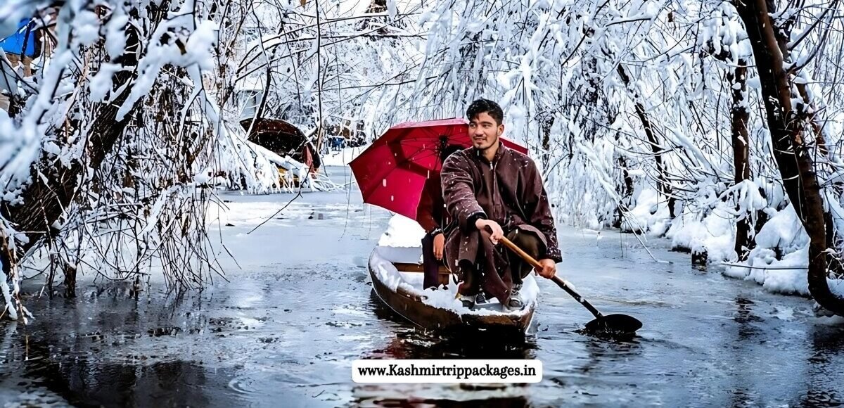 Blissful Kashmir Winter Tour Package